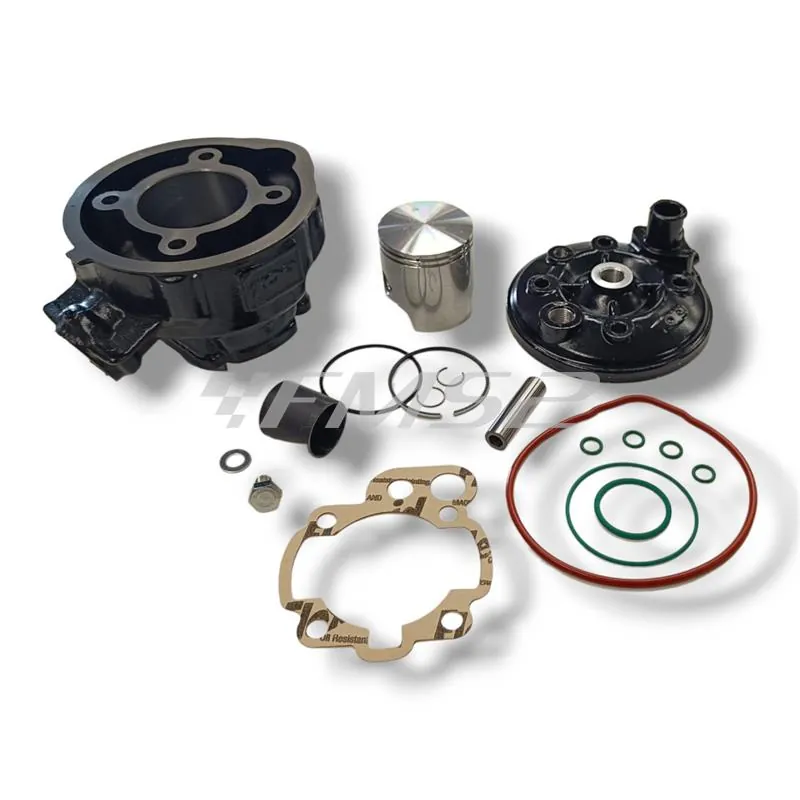 Motore gruppo termico top performance Trophy 49 mm a liquido cilindro in ghisa minacromato con 5 travasi completo di testa a squish, ricambio 9919250