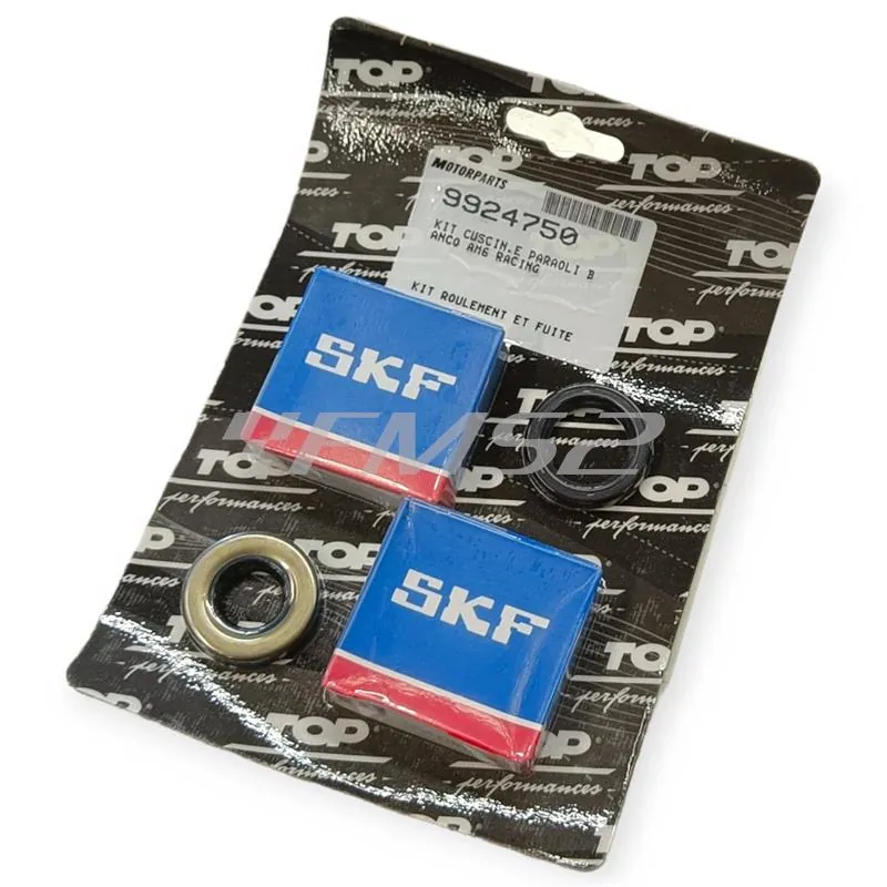 Kit cuscinetti e paraoli banco AM6 racing, ricambio 9924750