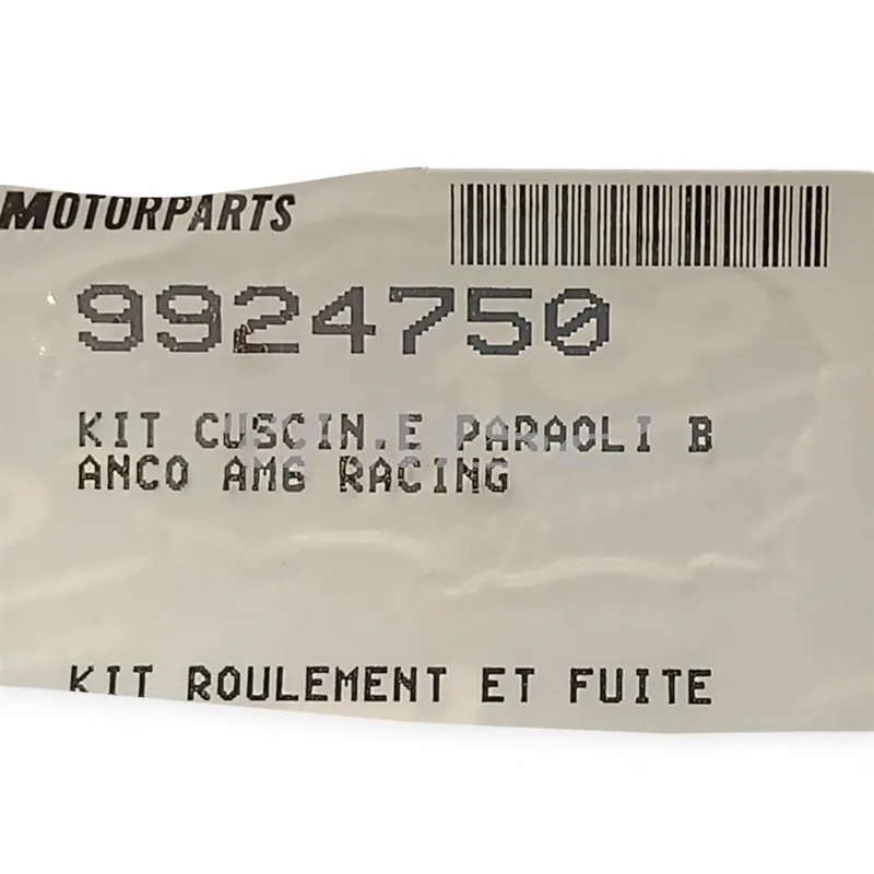 Kit cuscinetti e paraoli banco AM6 racing, ricambio 9924750