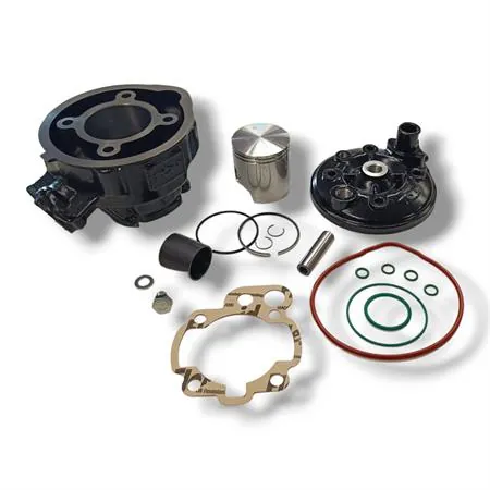 Motore gruppo termico top performance Trophy 49 mm a liquido cilindro in ghisa minacromato con 5 travasi completo di testa a squish, ricambio 9919250