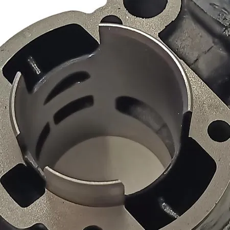 Motore gruppo termico top performance Trophy 49 mm a liquido cilindro in ghisa minacromato con 5 travasi completo di testa a squish, ricambio 9919250