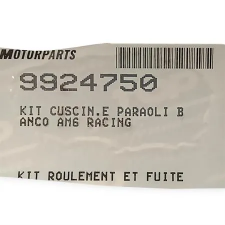 Kit cuscinetti e paraoli banco AM6 racing, ricambio 9924750