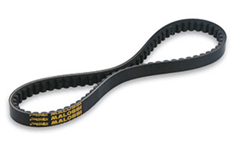 Cinghiolo Malossi X Special Belt per Scooter (cinghia dimensione 16,5x8x745 mm angolo 30°)