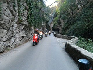 Vespe Solitarie in montagna