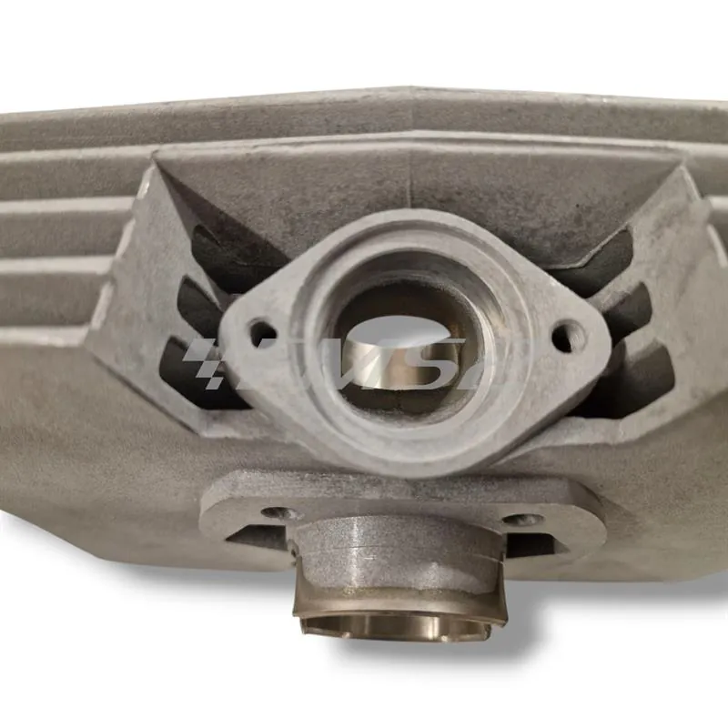 Gr.ter. h.p. minarelli p6 6t, ricambio 021700