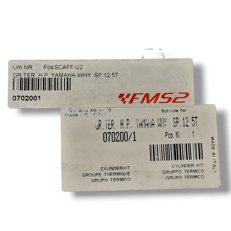 Motore gruppo termico athena sporting Minarelli aria spinotto 12, ricambio 0702001