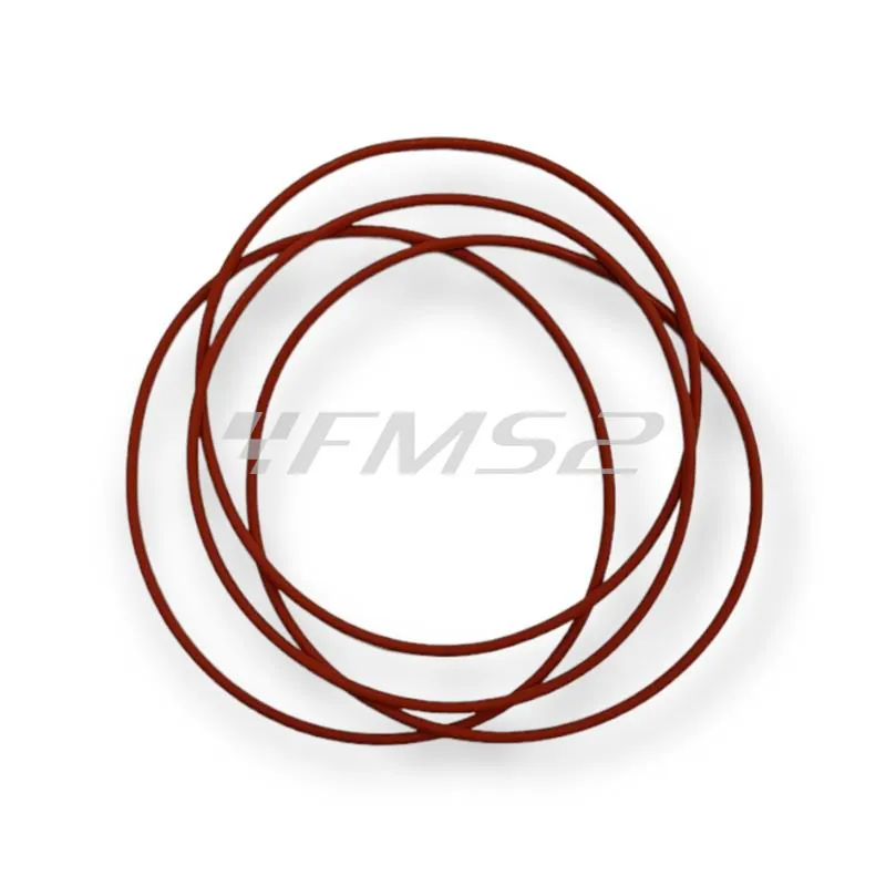 M752007700074 O-ring s70r d. 77.00x2 Athena