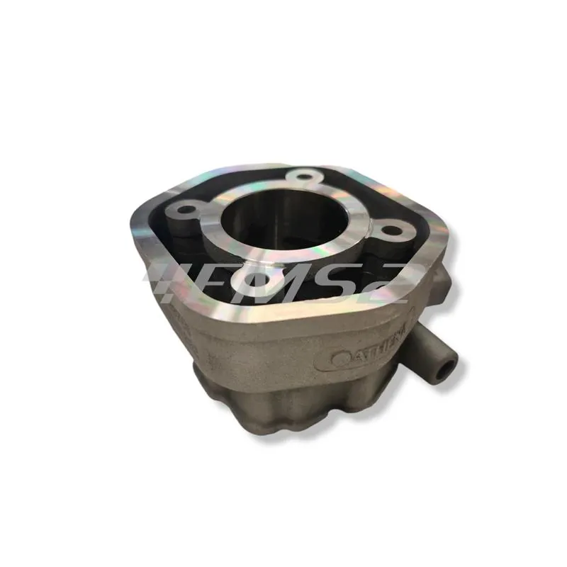 P400105100002 Motore gruppo termico diametro hpr Derbi senda Athena