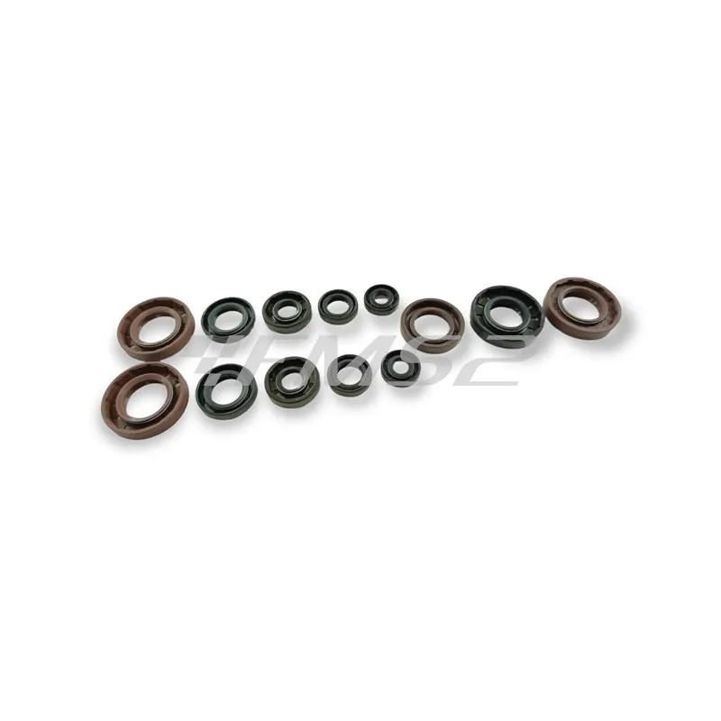 P400105400050 Serie paraolio Derbi senda-bultaco lobito 50 Athena