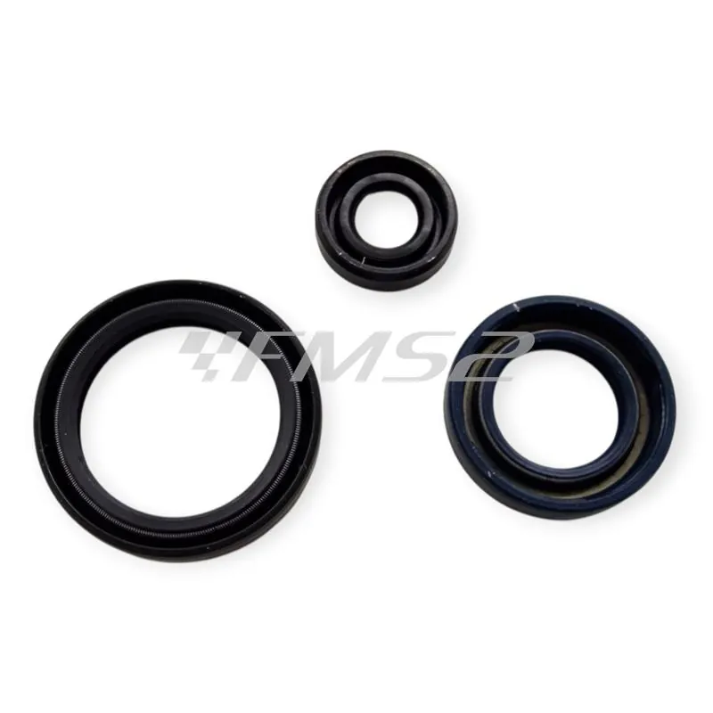P400220400263 Serie paraolio motore specifici per HUSQVARNA TC / TE 250 4T 2010-2014, TXC 250 2010-2014 e TE / TXC 310 2011-2014