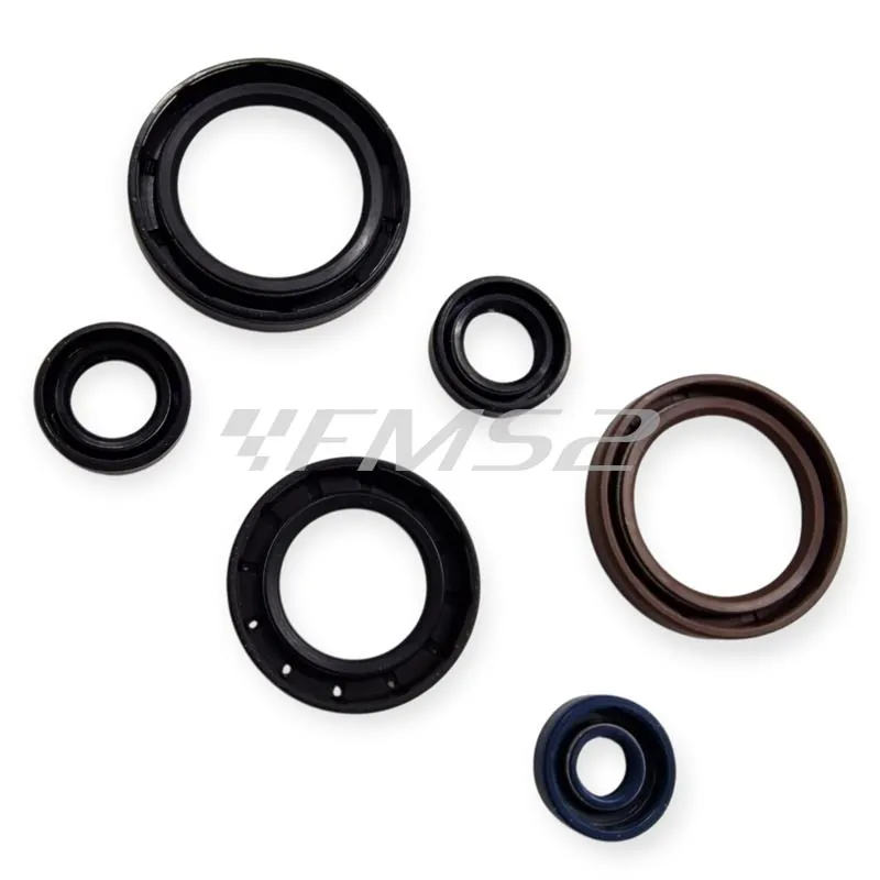 P400270400012 Serie paraolio motore specifico per KTM GS e MX 125 prodotti dal 1984 fino al 1986 con type motore 501