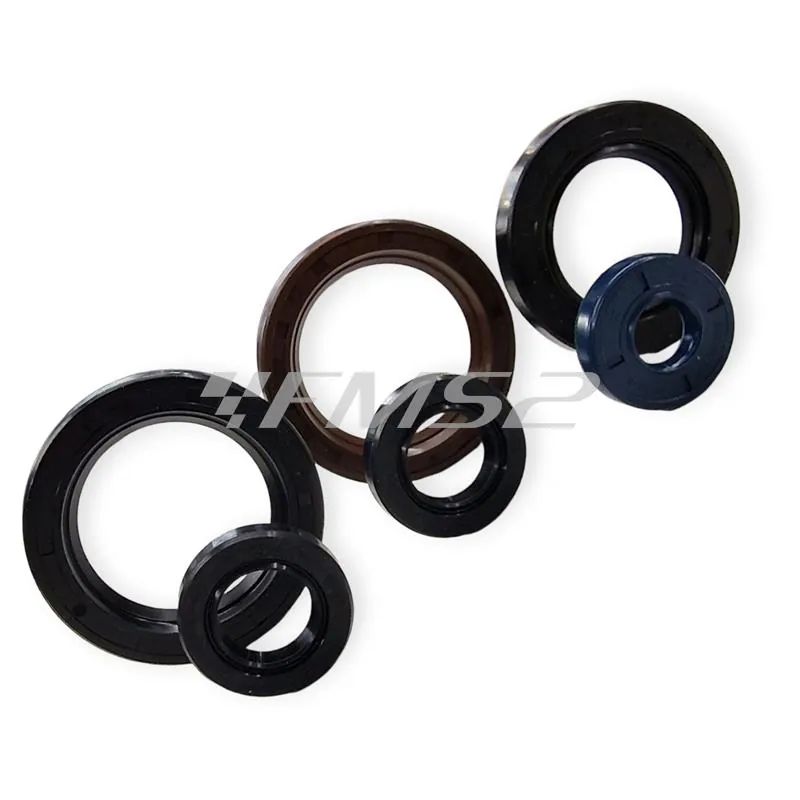 P400270400012 Serie paraolio motore specifico per KTM GS e MX 125 prodotti dal 1984 fino al 1986 con type motore 501