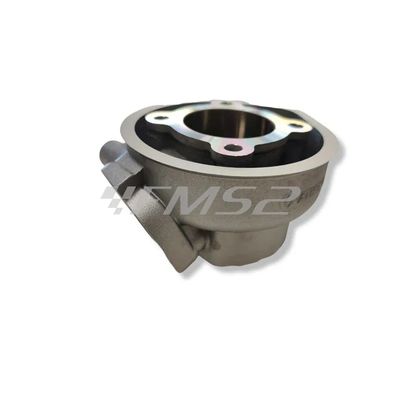 Motore gruppo termico athena Racing monofascia testa scomposta a liquido con spinotto diametro 10 mm, ricambio P400485100043