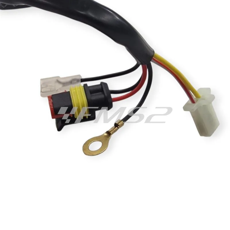 180310S Statore accensione per BETA ENDURO/MOTARD RR 50 2T 2005-2014 | OEM BETA 28.97810.000