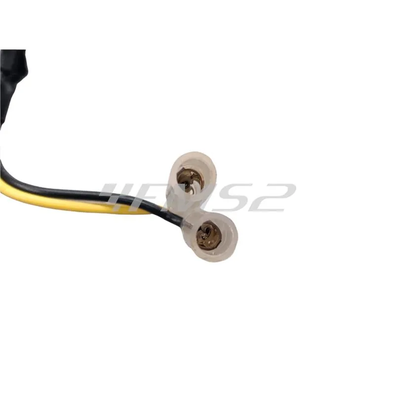 Coppia resistenze per frecce a led leds, ricambio 206175