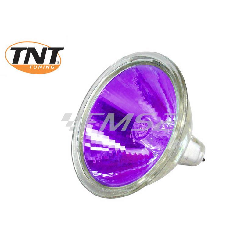 Lampadina TNT 12 Volt 20 Watt dicroica, colore viola, ricambio 222103