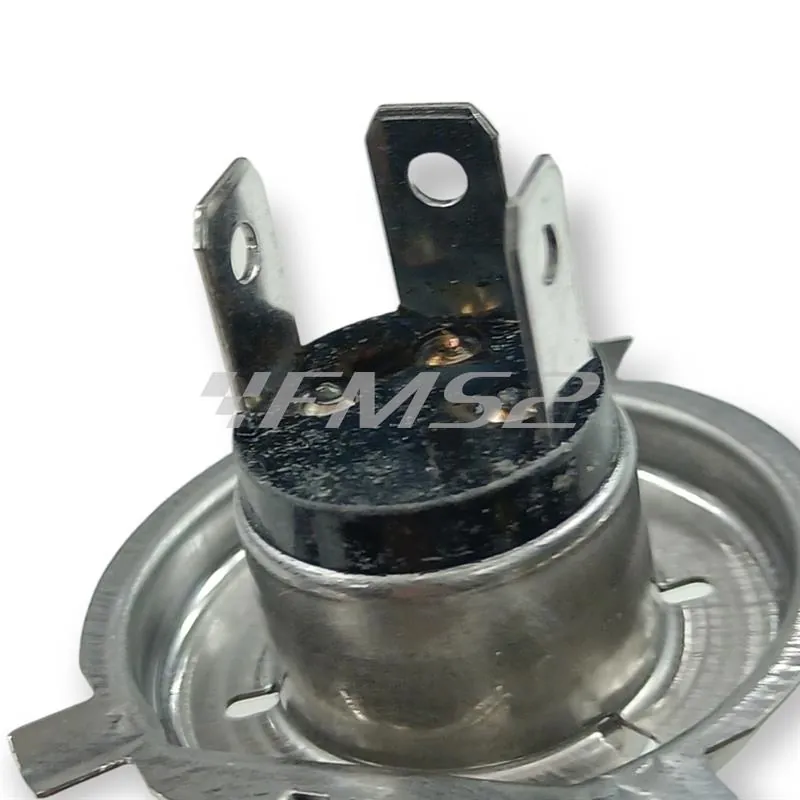 E03641931 Lampadina Bergamaschi 12 Volt 60/55 Watt H4 P43T