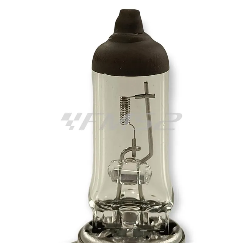 Lampadina Bergamaschi 12 Volt 55 Watt H7 PX26D, ricambio E0364210