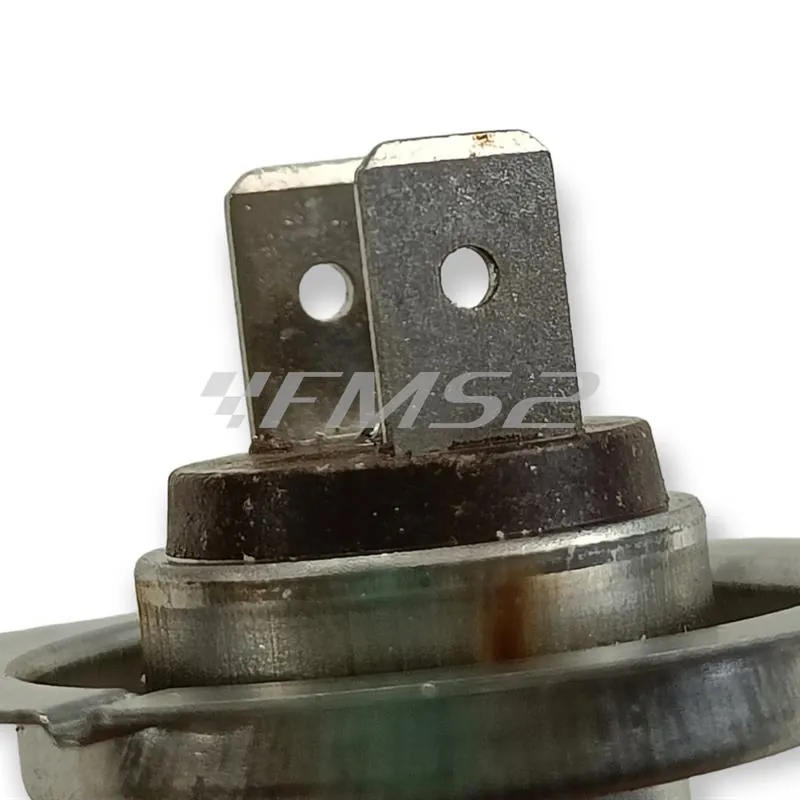 Lampadina Bergamaschi 12 Volt 55 Watt H7 PX26D, ricambio E0364210