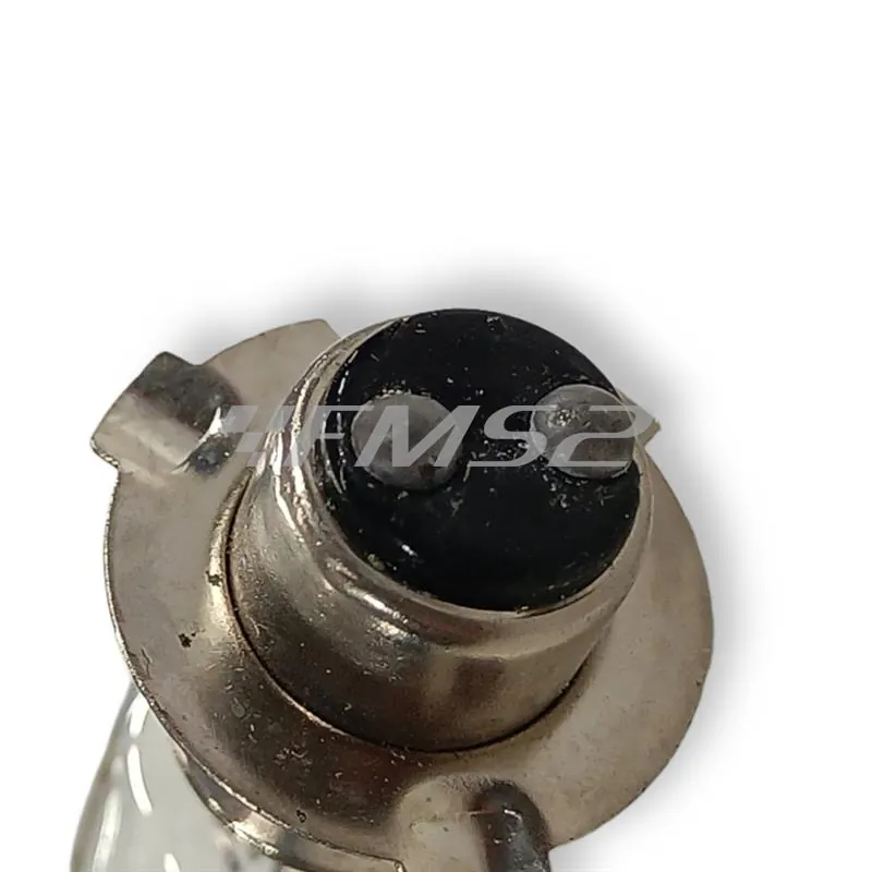 E0382480 Lampadina Bergamaschi 12 Volt 35/35 Watt PX15D-3