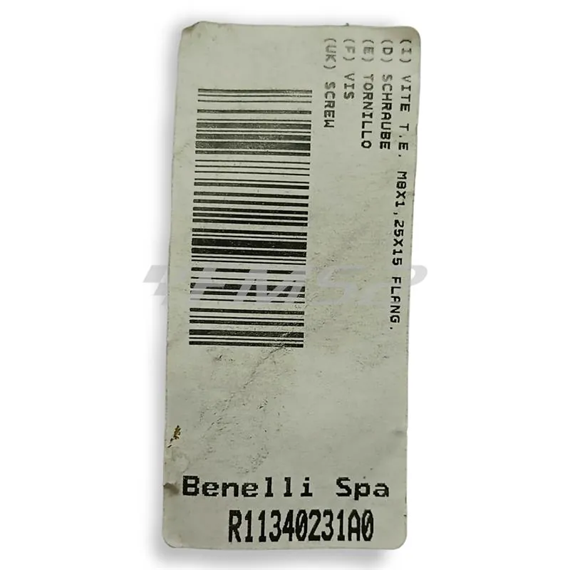 R11340231A0 Vite Benelli
