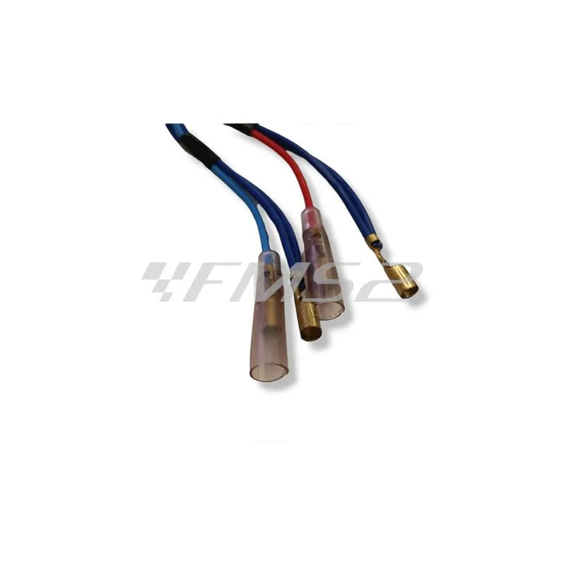 R54310011A0 Cablaggio fanale posteriore Benelli