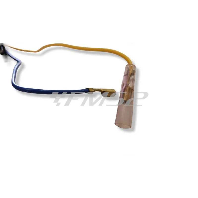 R54310011A0 Cablaggio fanale posteriore Benelli