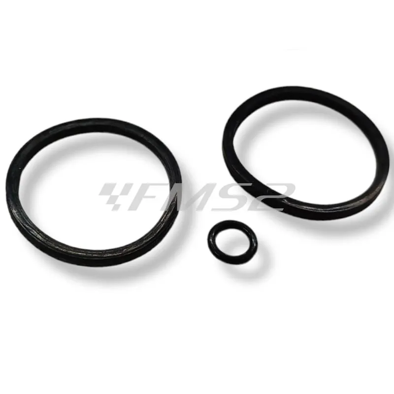 405440135 Kit revisione pinza Derbi a 2 pistoncini con diametro 31,8 x 13,0 mm e foro interno da 27,0 mm