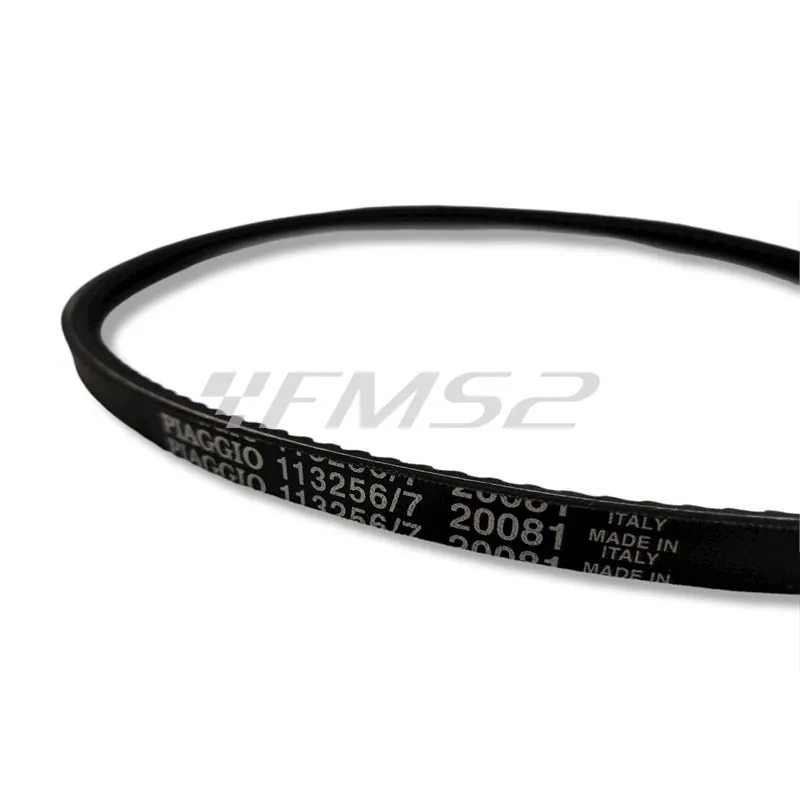 5350-PDL Cinghia liscia per Ape MP, Ape TM (CIF)