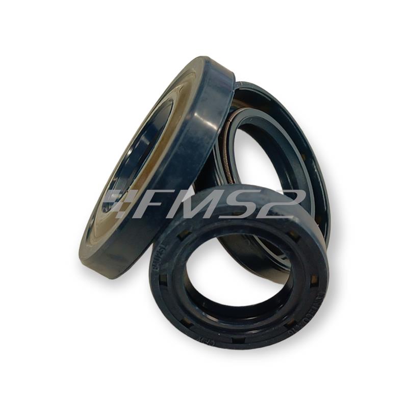 Serie paraolio completa motore Piaggio Ape 50 FL2 con cono da 20 mm (CIF), ricambio 5697-FL2