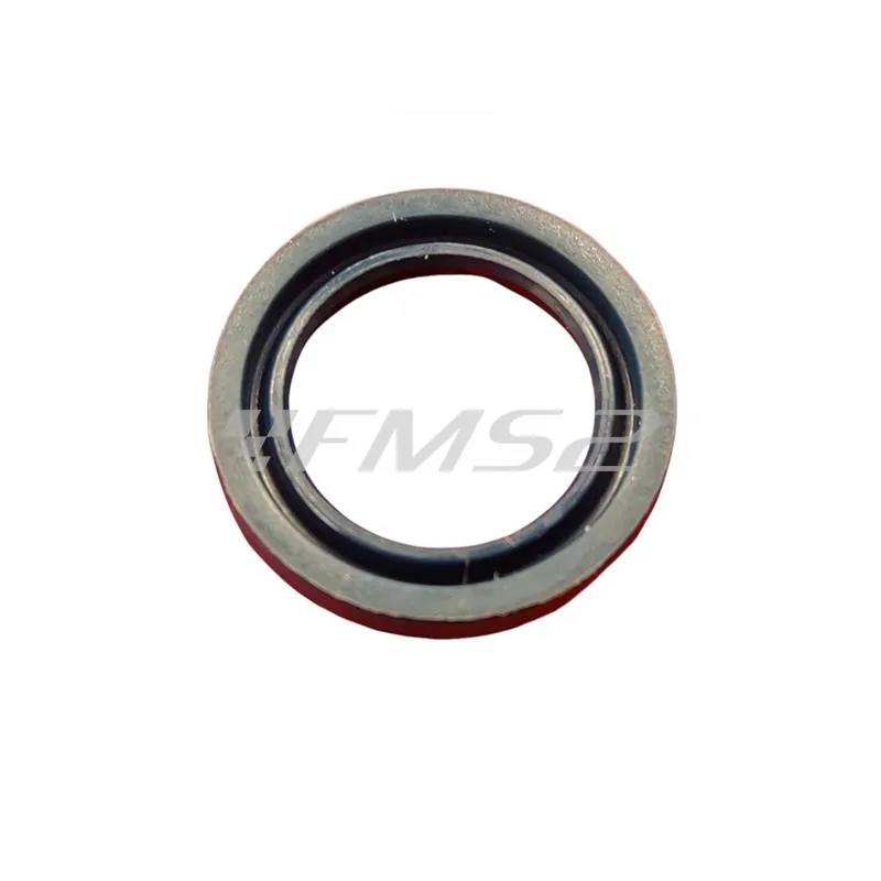 5954 Paraolio 13x19x3 ism x sr.paraoli motore (CIF)