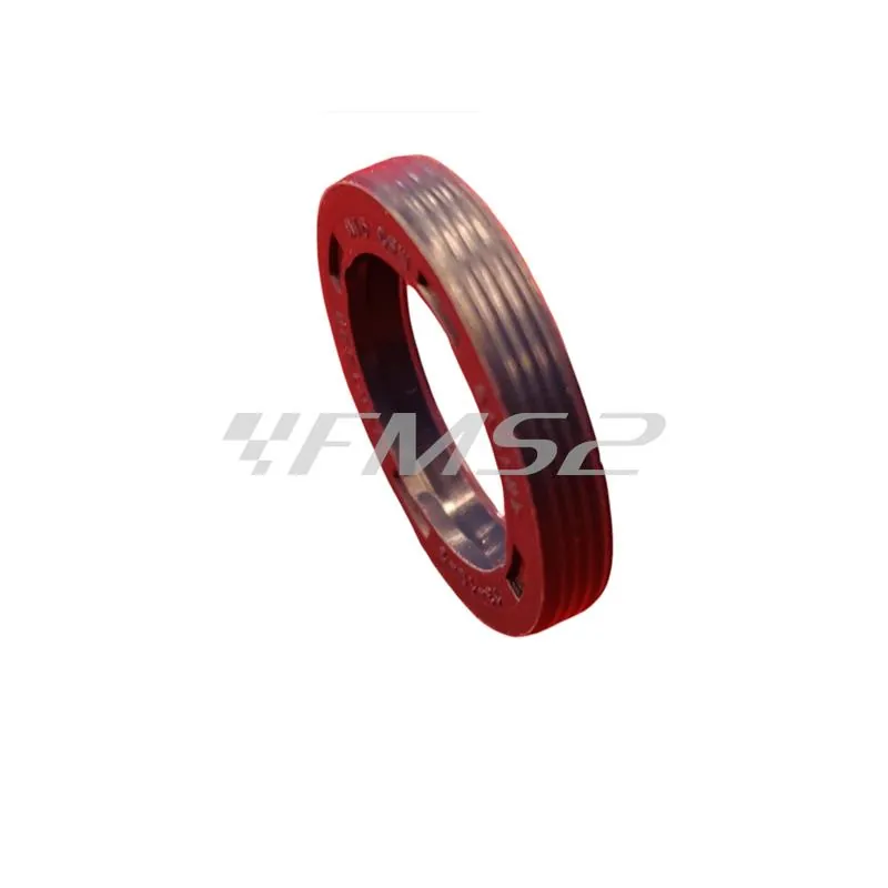 5954 Paraolio 13x19x3 ism x sr.paraoli motore (CIF)