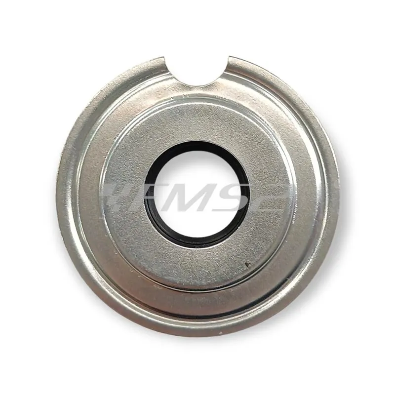 6646 Serie paraolio motore Vespa Sprint-gtr-gt-super (CIF)