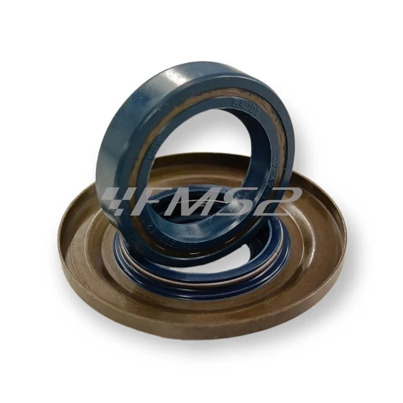 6652 Serie paraolio motore Vespa PX 125 t5 (CIF)