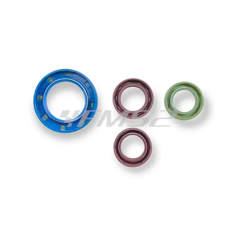 6659-V Serie paraolio motore in viton piaggio l