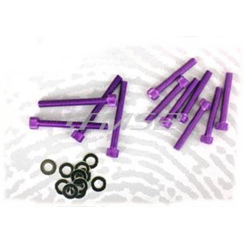 Kit viti carter messa in moto Piaggio viola (One Italia), ricambio 77171021