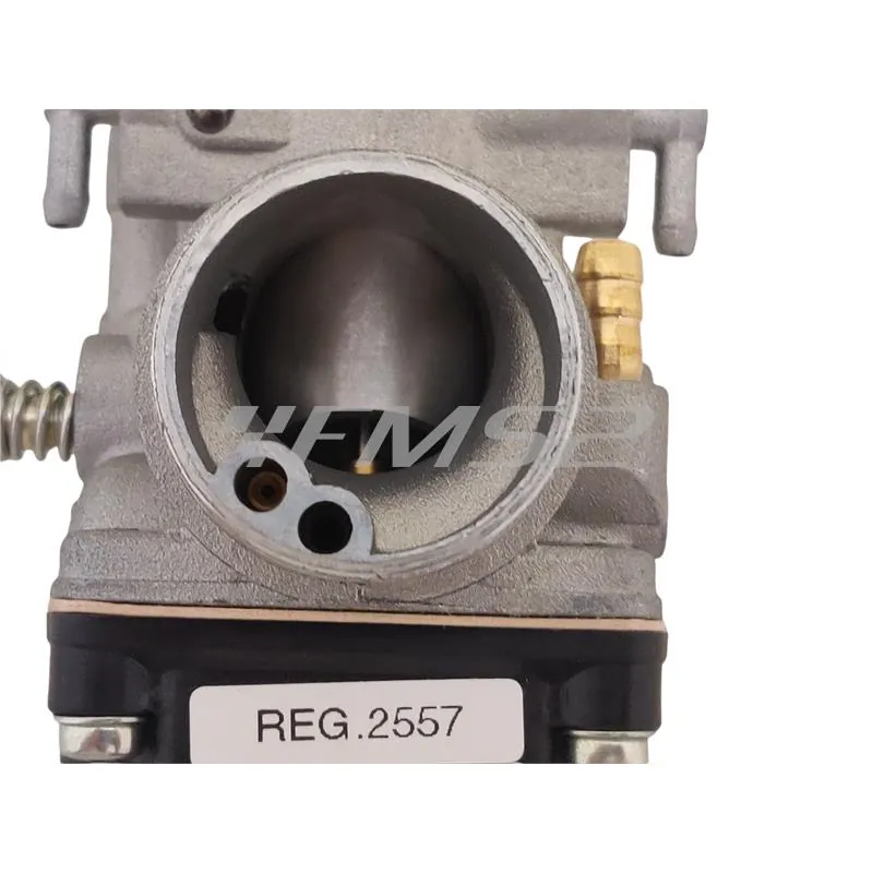 02557 carburatore Phbg 21 as