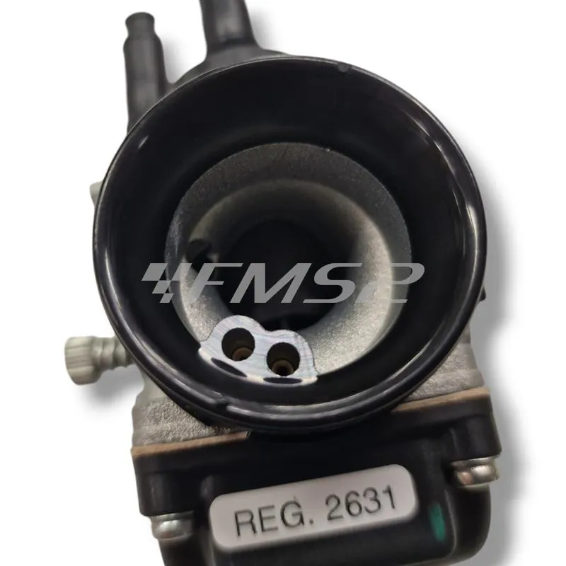 Carburatore phbg 19 ds (Dell'Orto), ricambio 02631