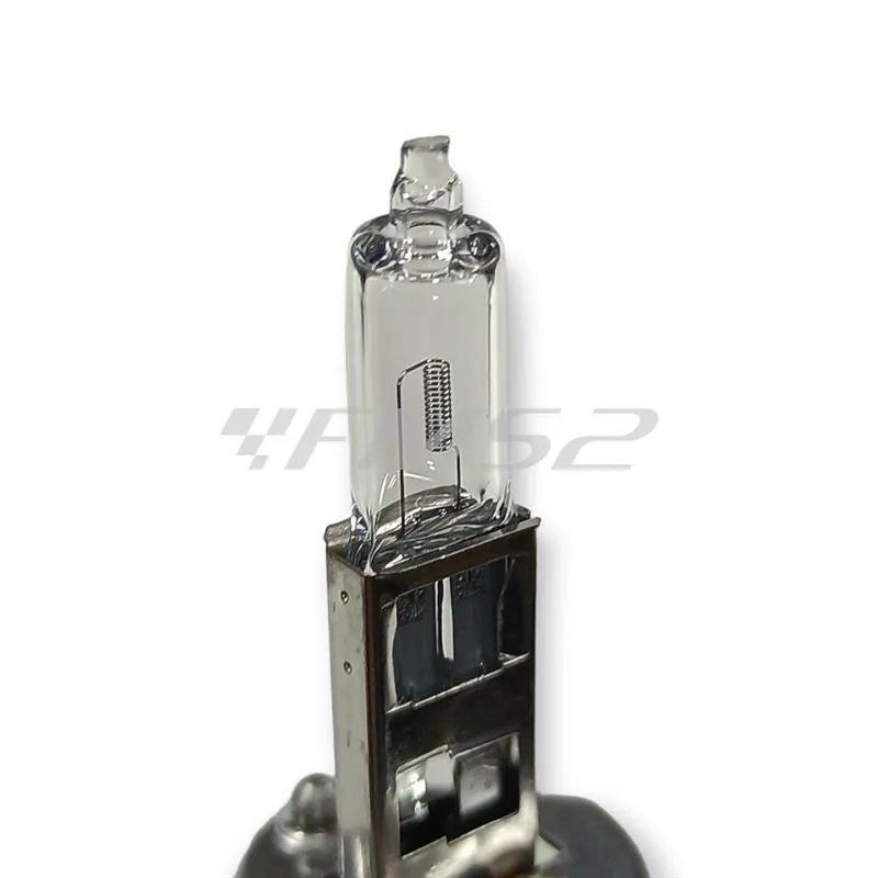 1987302011 Lampadina Dell'Orto H1 pure light