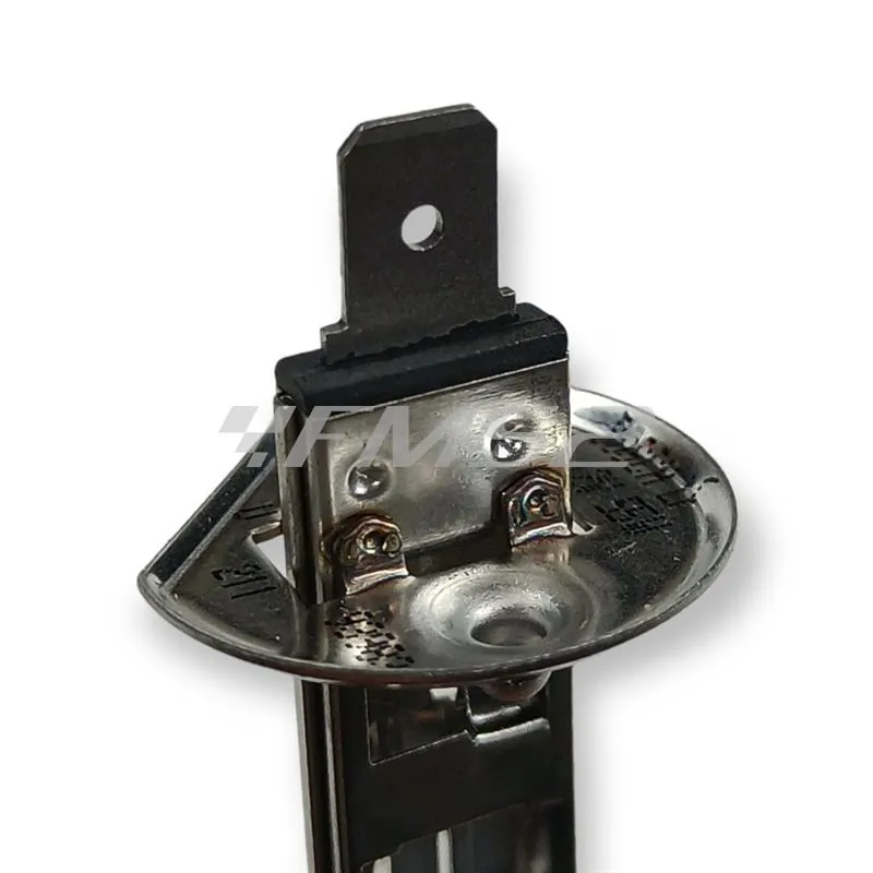 1987302011 Lampadina Dell'Orto H1 pure light