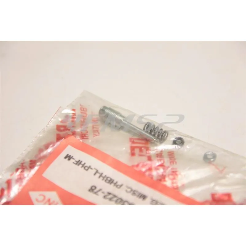 530220078 Kit vite regolazione miscelazione minimo