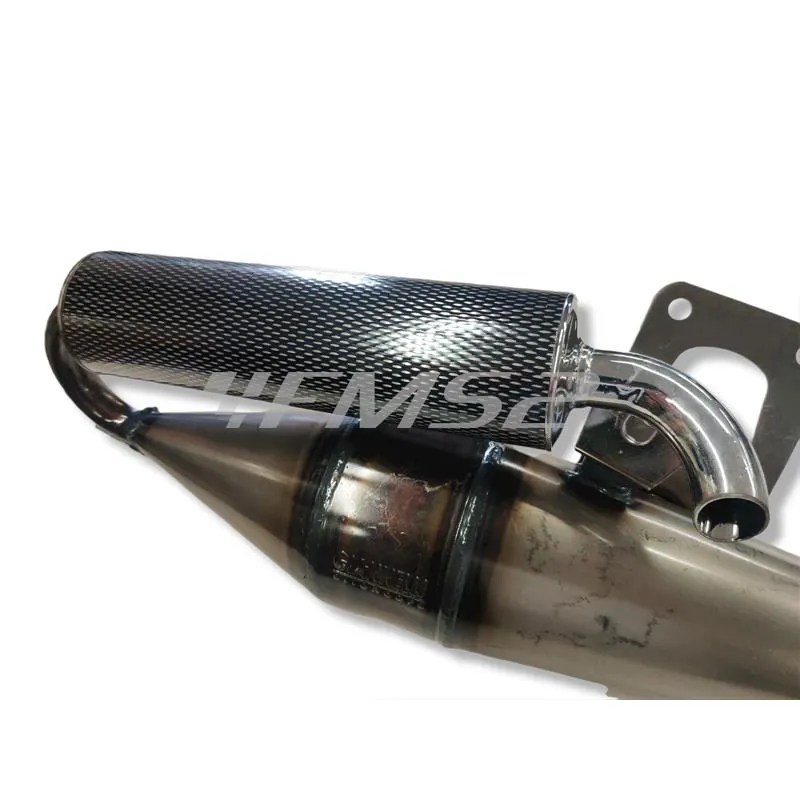 31113S Marmitta scooter sport 6 Peugeot Buxy (Giannelli)