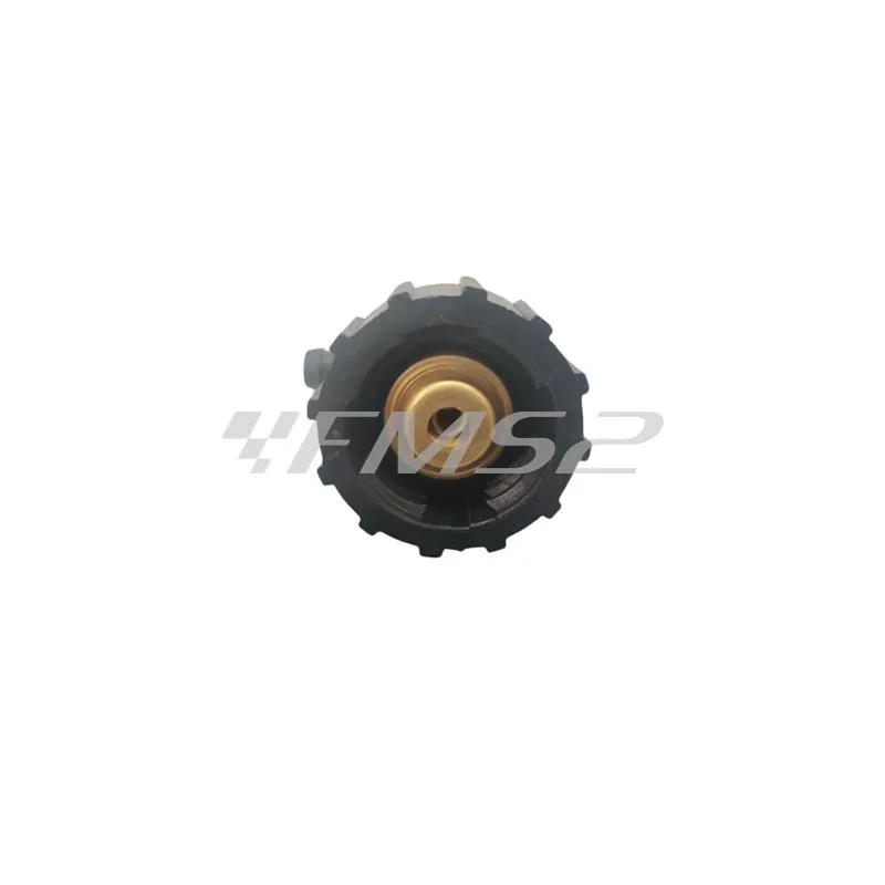 K07098150 Tappo radiatore originale Vent - Hm in plastica nera da avvitare sui radiatori destri versione aggiornata con filetto
