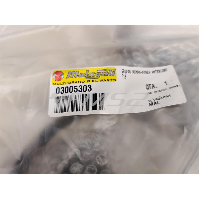Gruppo pompa/pinza ant. f13, ricambio 03005303