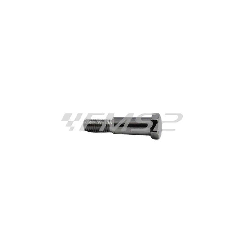 Vite fulcro leva  F10-f15-f12 (Malaguti), ricambio 12110600