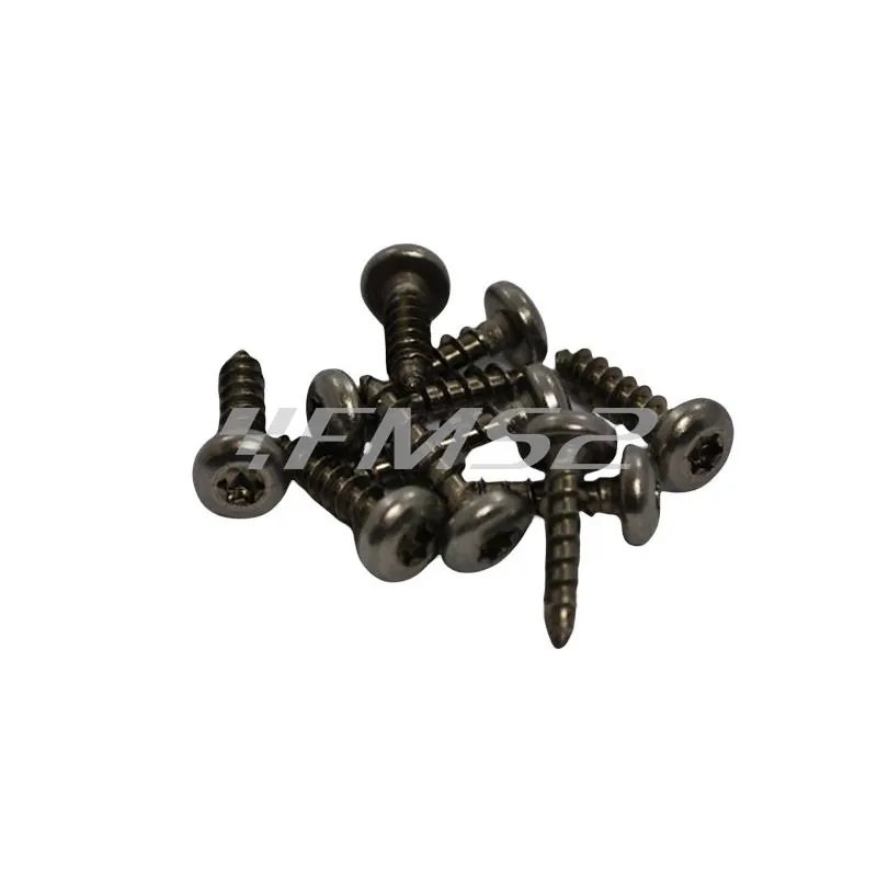 18439000 Vite truciolare testa cilindrica impronta Torx T25 in acciaio inox 5 x 20 (Malaguti)