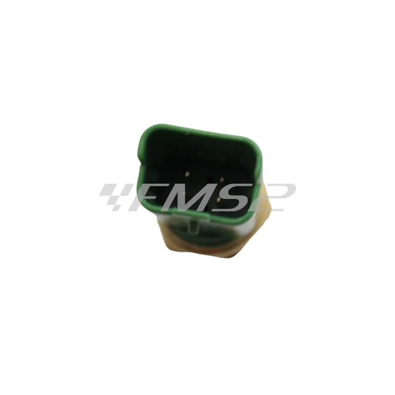 45606200 Sonda temperatura acqua 492
