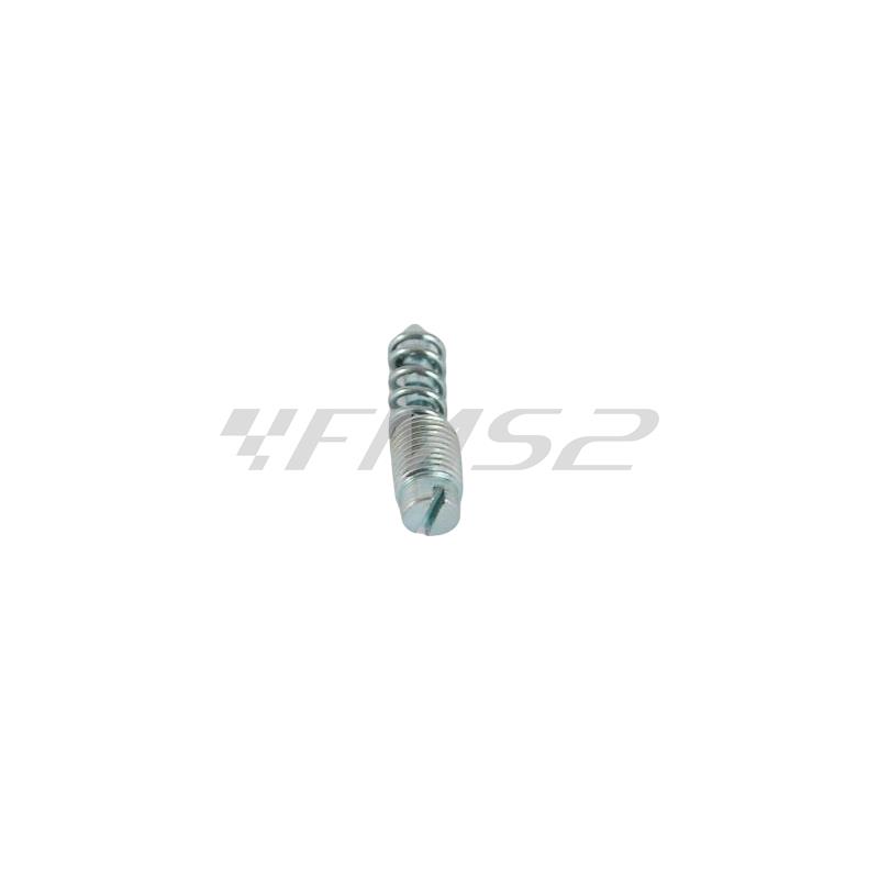 Ricambio carburatore kit vite regolabile valvola gas (Malaguti), ricambio 62309400