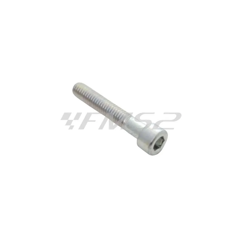 74903900 Vite m6x35 Minarelli (Malaguti)