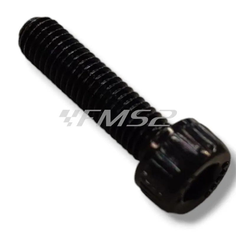 74913800 Vite testa cilindrica bombata M5x20 (Malaguti)
